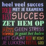 Succes met je examen!